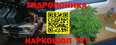 марихуана Аргун