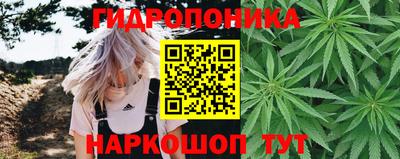 марихуана Аргун