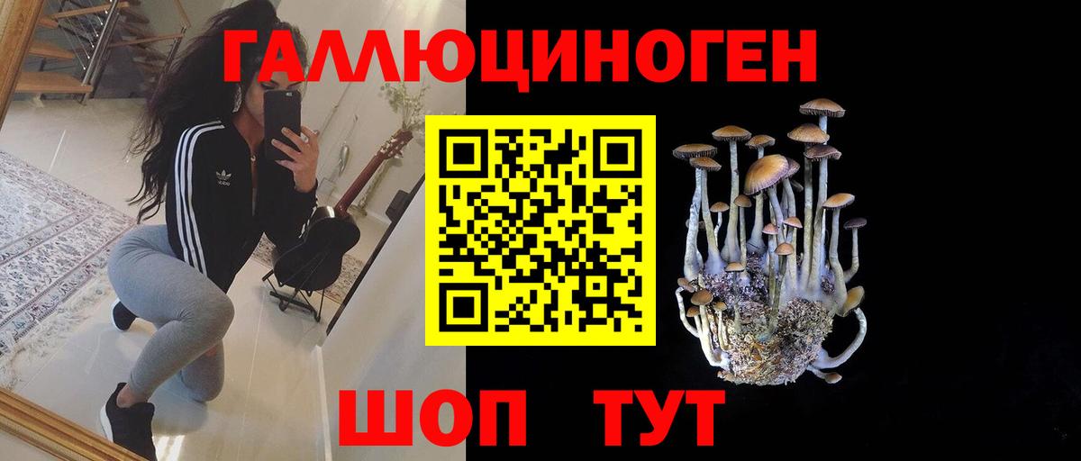 Псилоцибиновые грибы MAGIC MUSHROOMS  Вход с VPN  Выкса  где купить   Псилоцибиновые грибы мицелий 