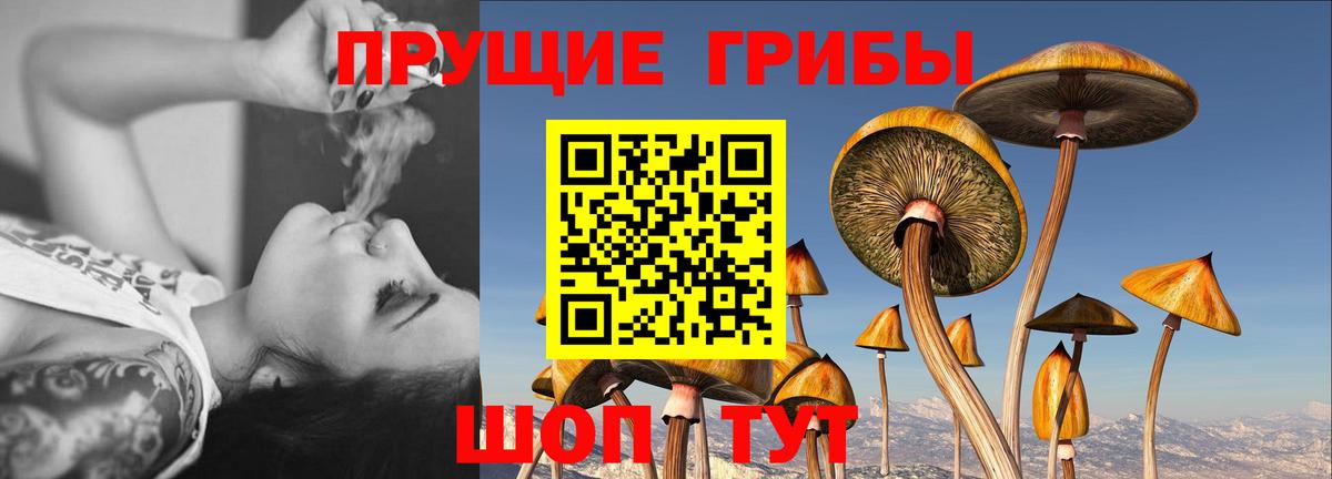 Галлюциногенные грибы мухоморы Выкса