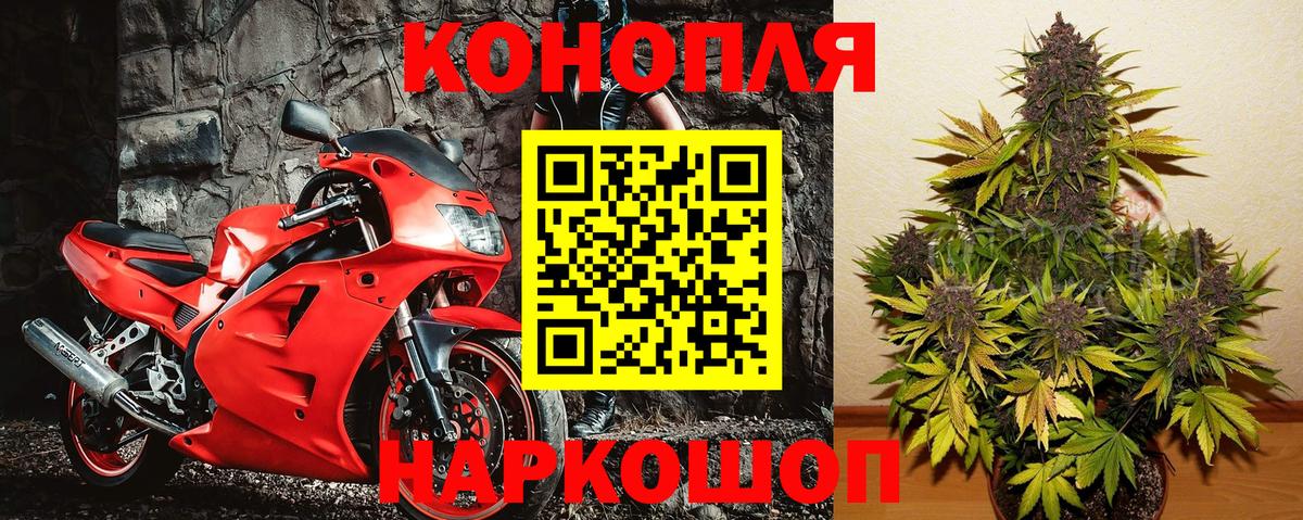 МАРИХУАНА планчик  МАРИХУАНА тримм  Марихуана гибрид  Выкса  Бошки марихуана марихуана  Вход с VPN 
